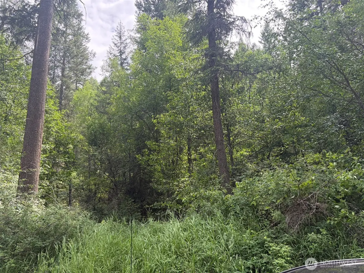 111 Lambert Creek Road, Republic, WA 99166 - #1