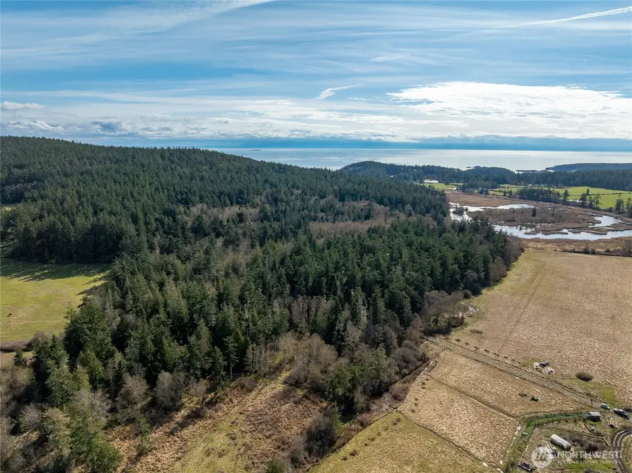 4722 Mud Bay Road #2, Lopez Island, WA 98261 - #3