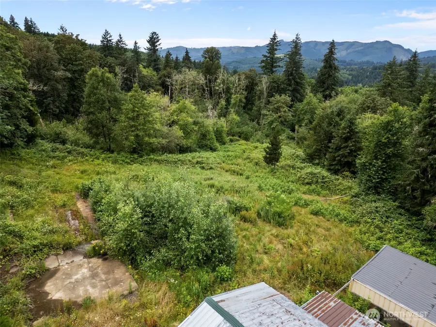 13500 NE 406th Street, Amboy, WA 98601 - #2