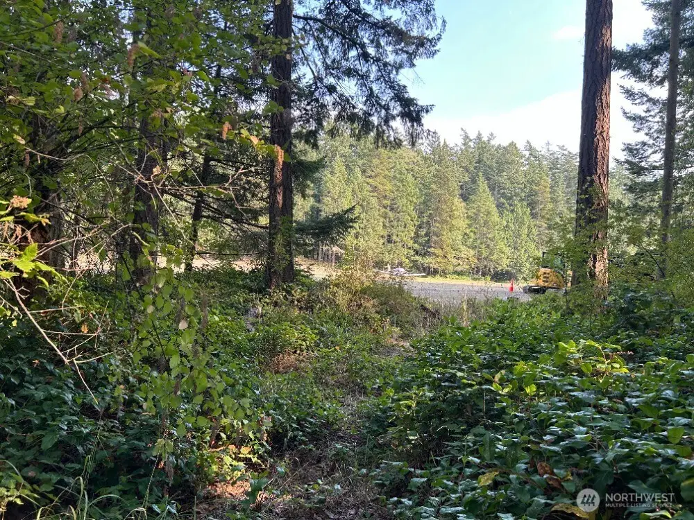 135 Chinook Way #135, Lopez, WA 98221 - #1
