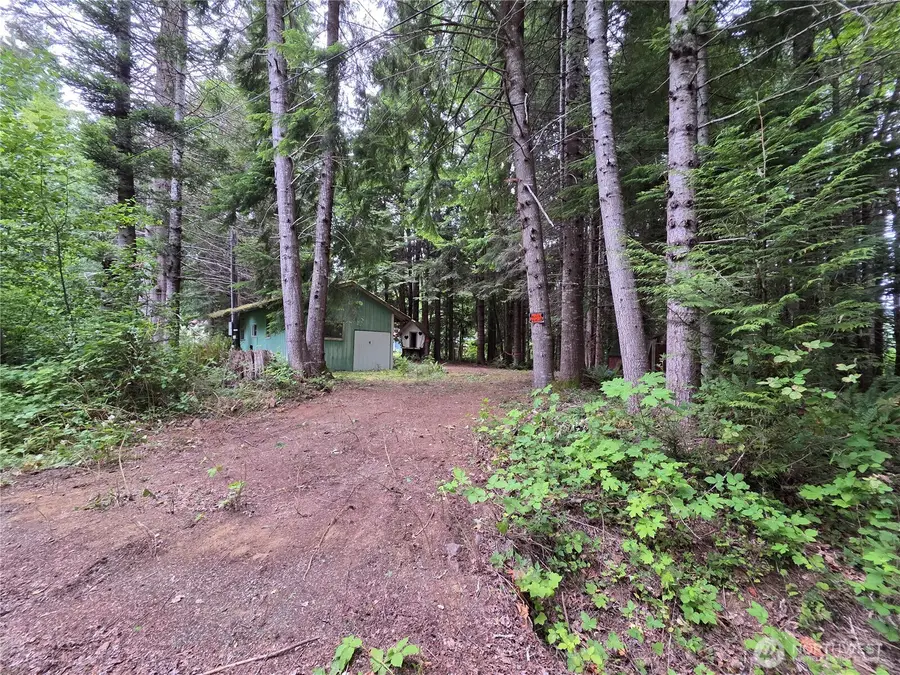 160 Elk Drive #56, Brinnon, WA 98320 - #2
