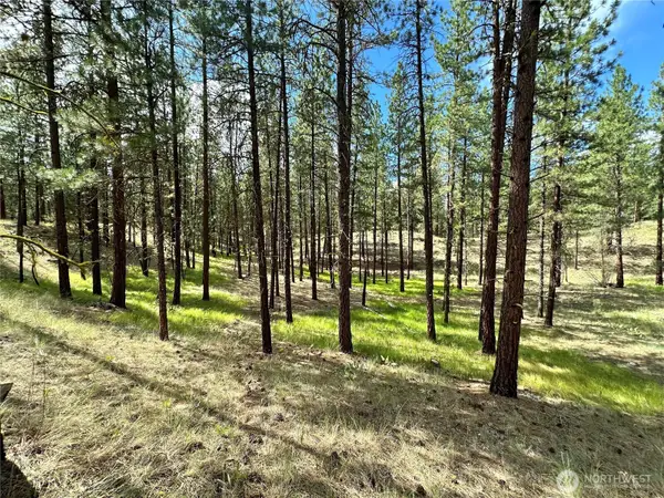 67 Larkspur Drive #58, Winthrop, WA 98862