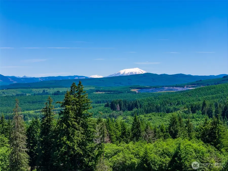 0 S Silver Lake Lot #7 Road, Castle Rock, WA 98611 - #2