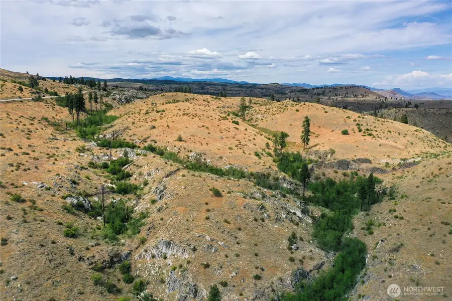 0 Tbd Indian Dan Canyon, Brewster, WA 98812 - #3