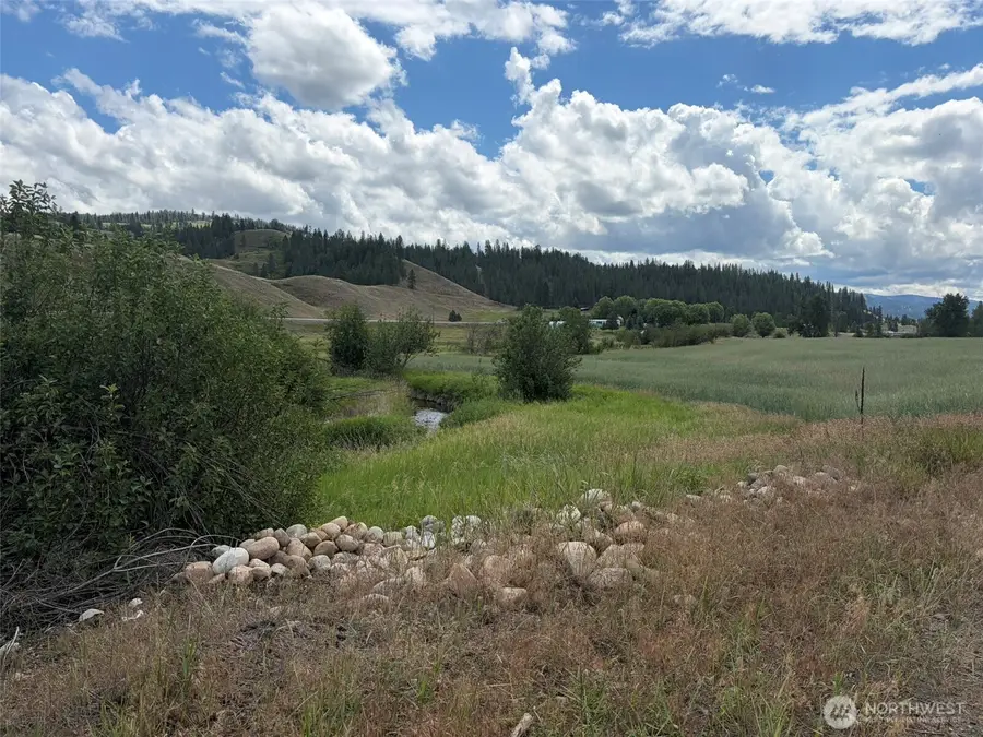 1 Lundimo Meadows Tract 1, Curlew, WA 99118 - #2