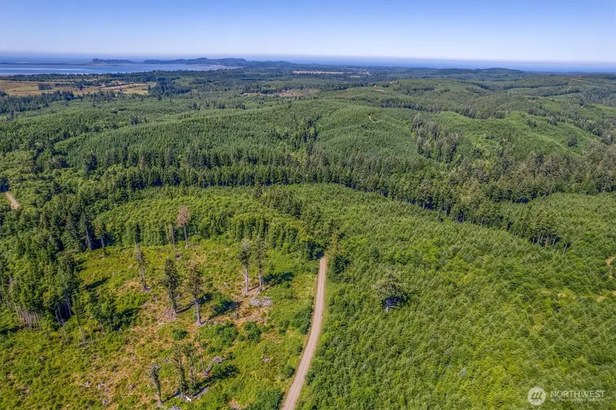 1 W Walberg Road, Chinook, WA 98614 - #2