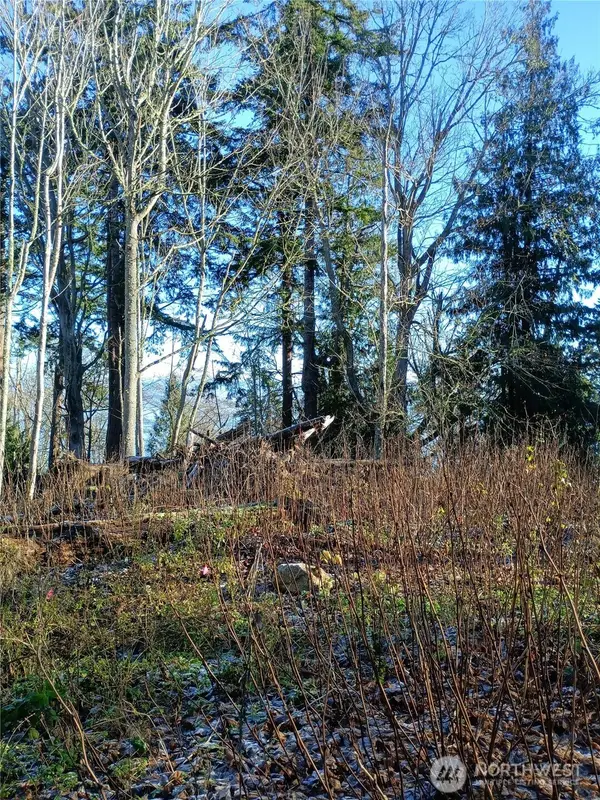 49 Tulalip Way, Hat Island, WA 98206