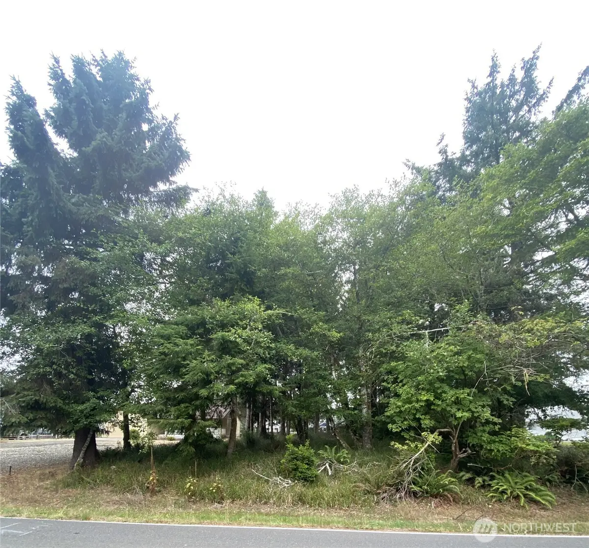 135 Duck Lake Drive Ne, Ocean Shores, WA 98569 - #1