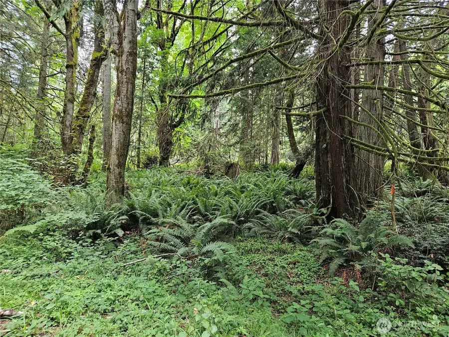 1 Smith Lane, Quilcene, WA 98376 - #3