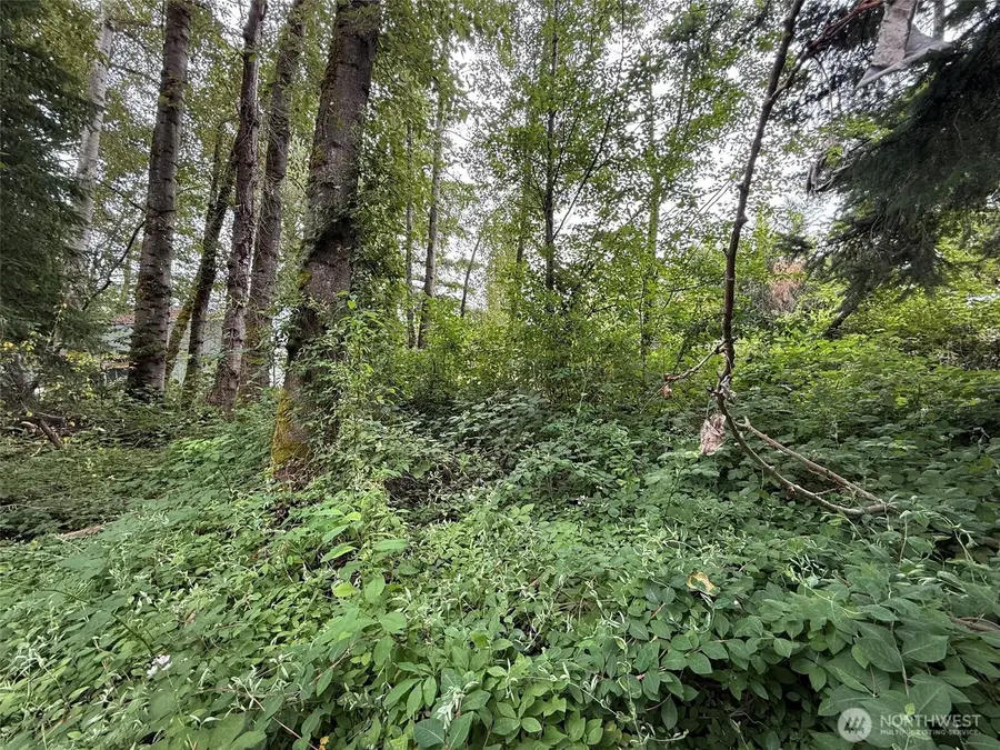 1810 S 27th Street #4, Renton, WA 98055 - #3
