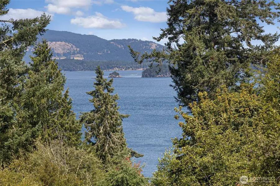 164 Bramblewood Lane, Friday Harbor, WA 98250 - #3