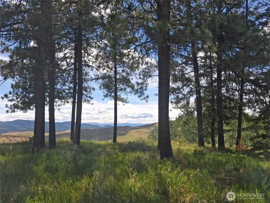 1 Fletcher/rd 225 Road, Oroville, WA 98840 - #2