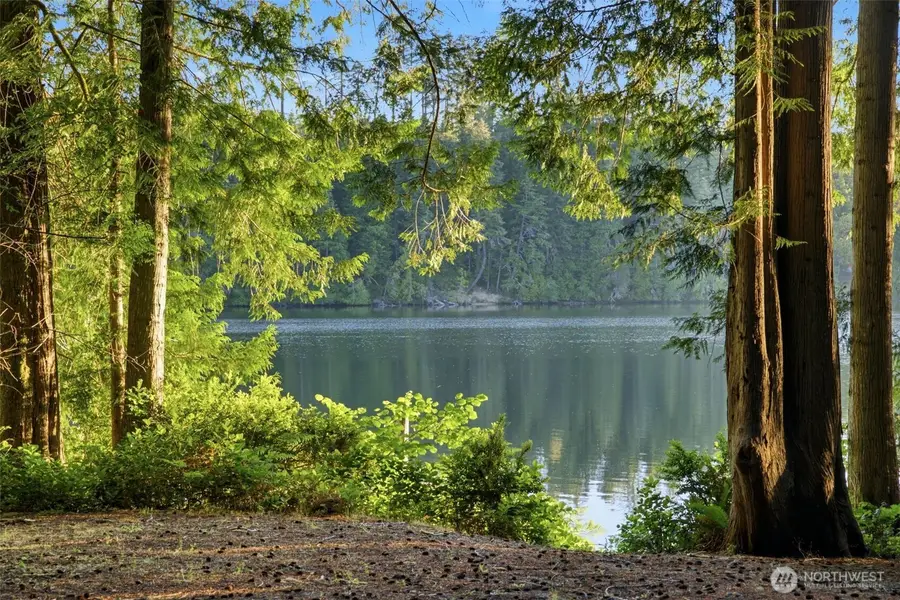1052 E Mason Lake Drive W, Grapeview, WA 98546 - #3