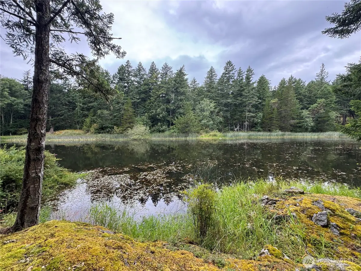 230 Serendipity Lane, Eastsound, WA 98243 - #1