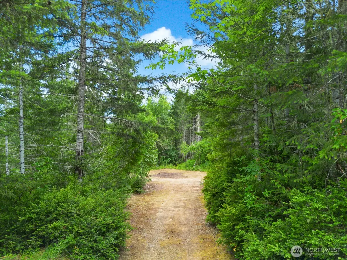 0 Rustic Ridge Drive #4, Lilliwaup, WA 98555 - #1