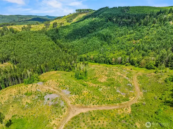 0 Holcomb Road, Kelso, WA 98626