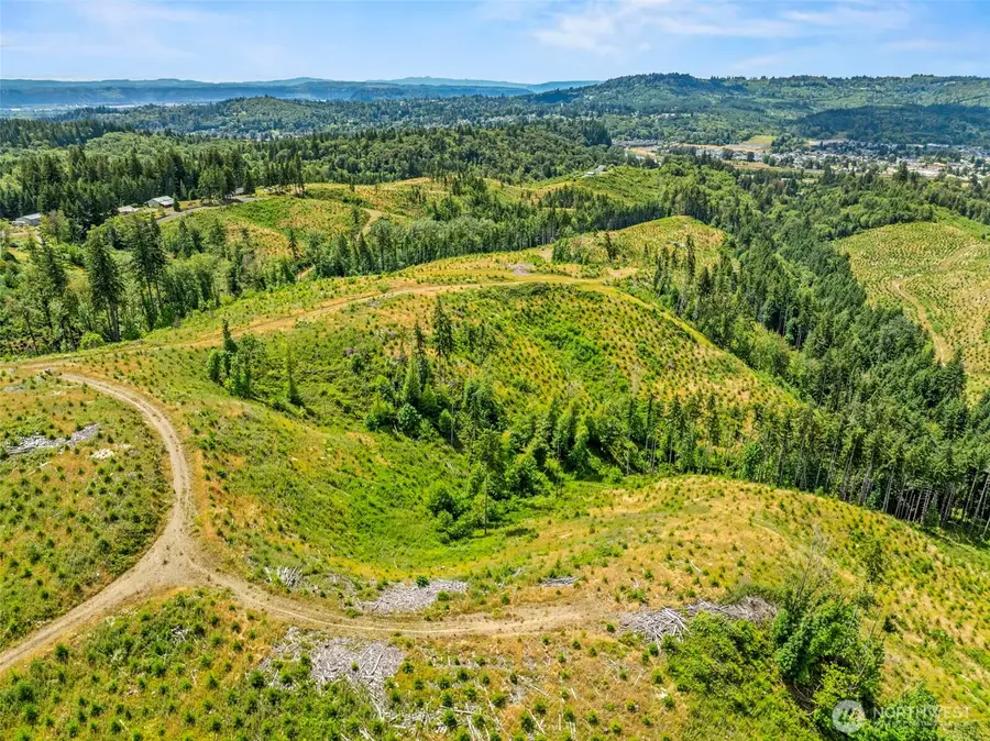0 Holcomb Road, Kelso, WA 98626 - #3