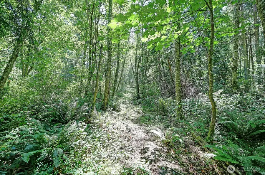 100 W Mountain View Rd, Camano Island, WA 98282 - #2