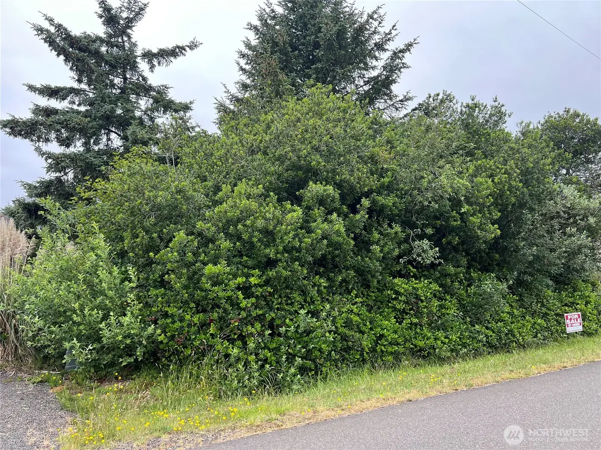 342 N Razor Clam Drive, Ocean Shores, WA 98569 - #1