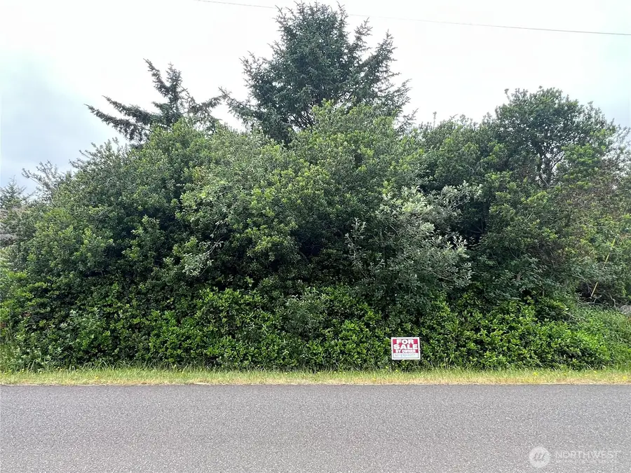 342 N Razor Clam Drive, Ocean Shores, WA 98569 - #2