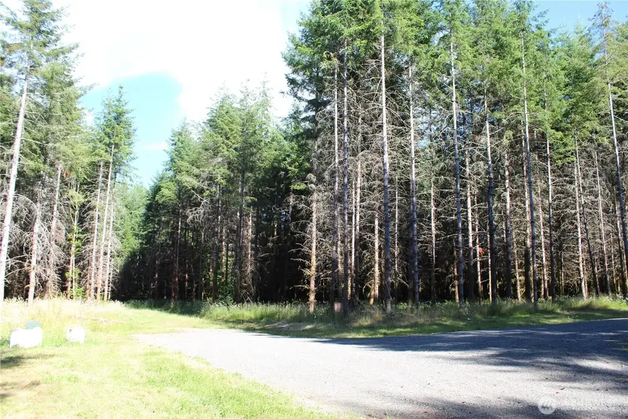152 Onalaska, Onalaska, WA 98570 - #3