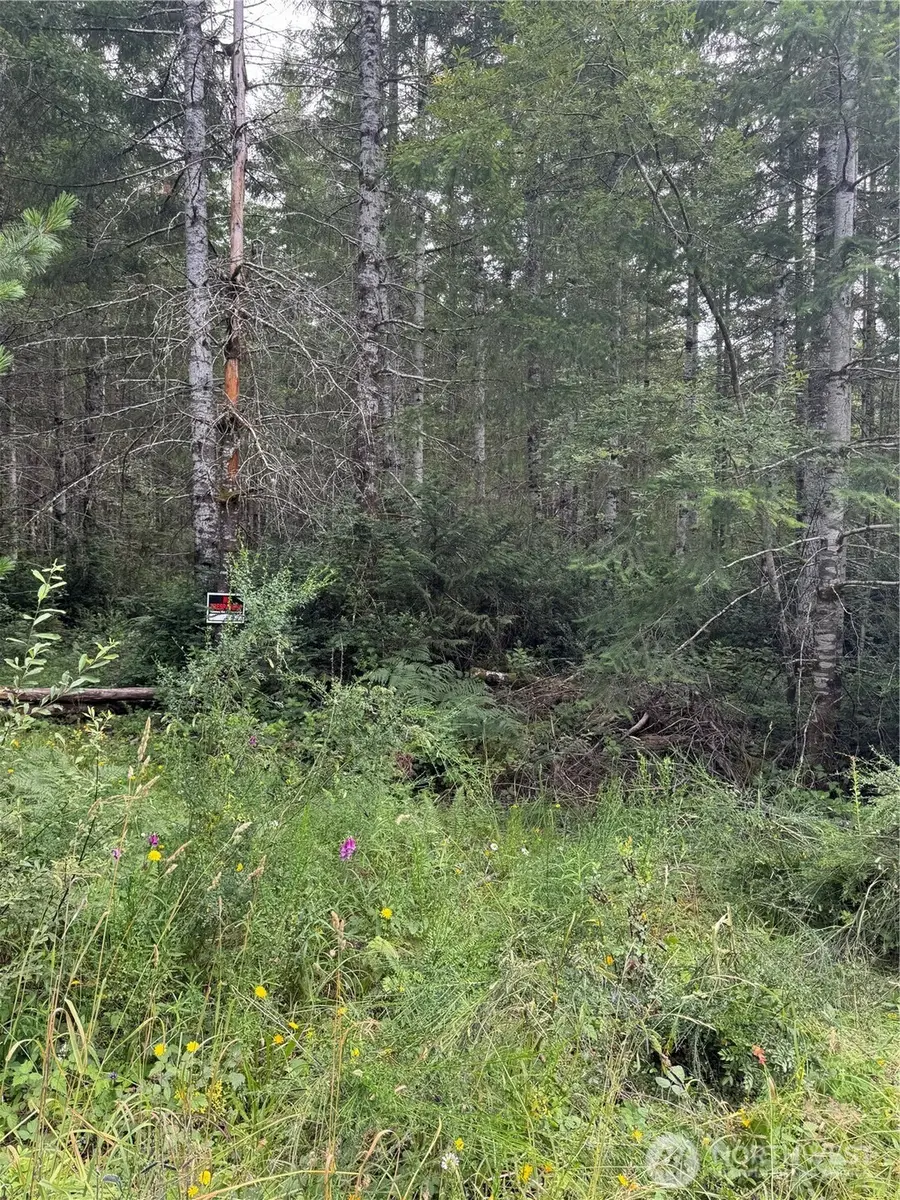 361 E Morris Creek Road, Belfair, WA 98528 - #2