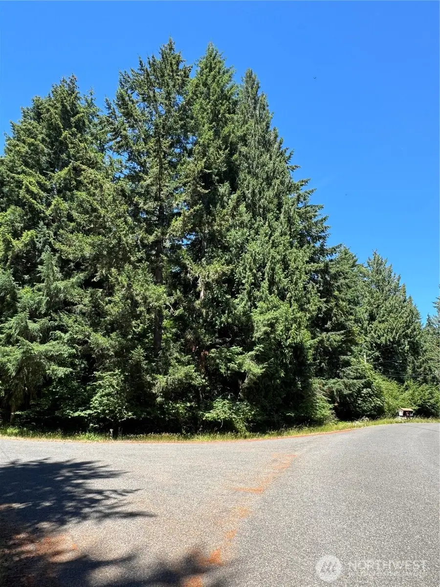 10409 108th Street #100, Anderson Island, WA 98303 - #2