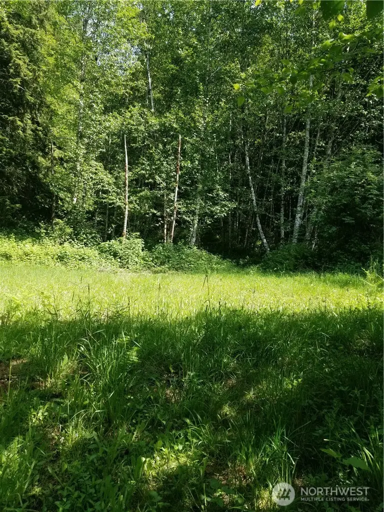 0 Garneys Road, Kelso, WA 98626 - #1