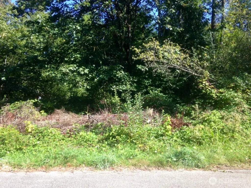 13320 191st Avenue Se, Renton, WA 98059 - #1