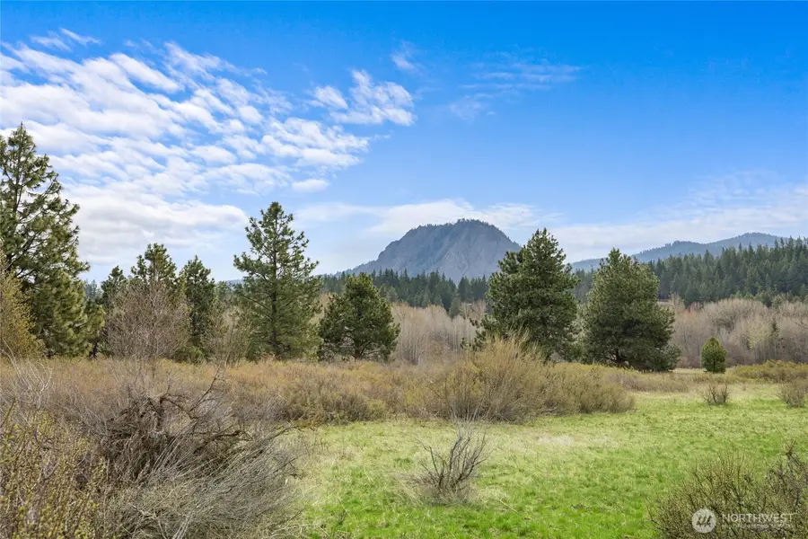 0 Westside Rd - Parcel 10577 #1, Cle Elum, WA 98922 - #2