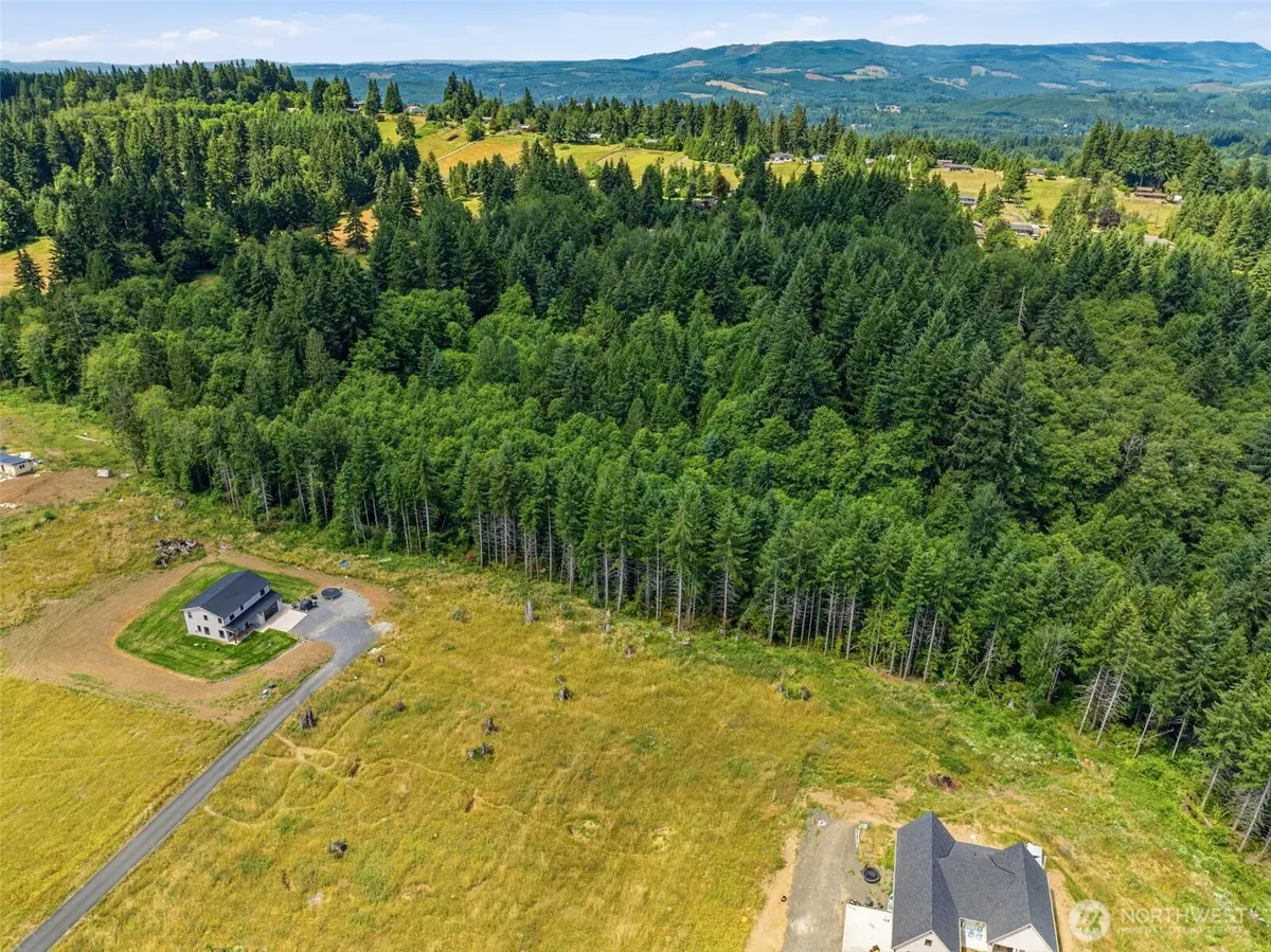 252 Ash Mountain Drive, Castle Rock, WA 98611 - #1