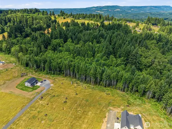 252 Ash Mountain Drive, Castle Rock, WA 98611