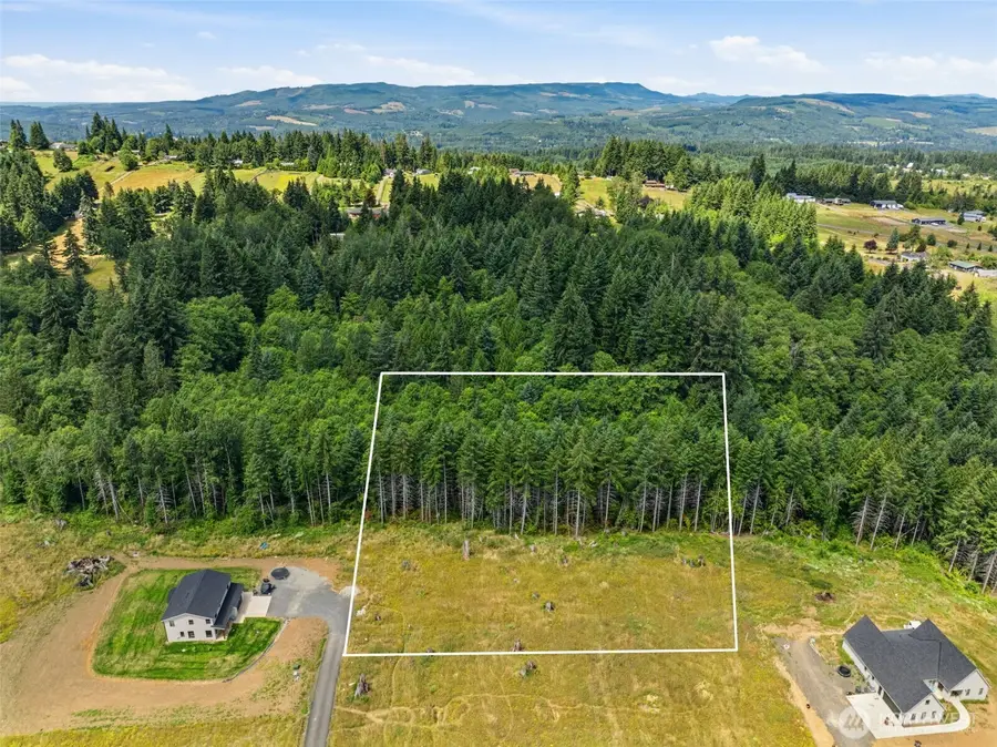 252 Ash Mountain Drive, Castle Rock, WA 98611 - #2