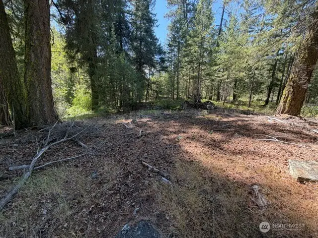 0 E Buttermilk Creek Road, Twisp, WA 98856 - #2