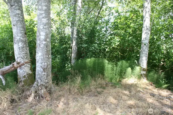 0 Farrell Street, Aberdeen, WA 98520