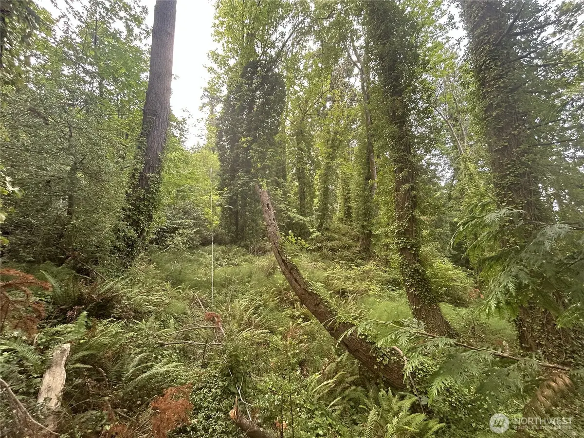 1 SE Goat Trail Rd, Port Orchard, WA 98367 - #1
