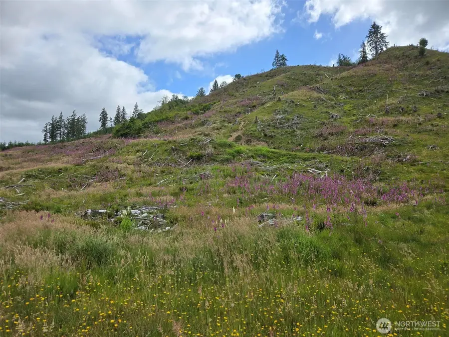 0 North River Road, Cosmopolis, WA 98537 - #3
