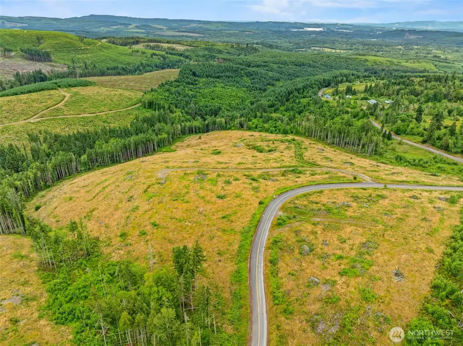 4 Parker Road #Lot 4, Toutle, WA 98649 - #2