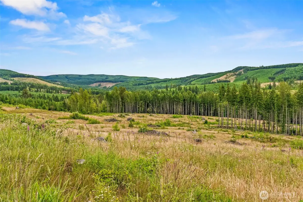 3 Parker Road #Lot C, Toutle, WA 98649 - #1