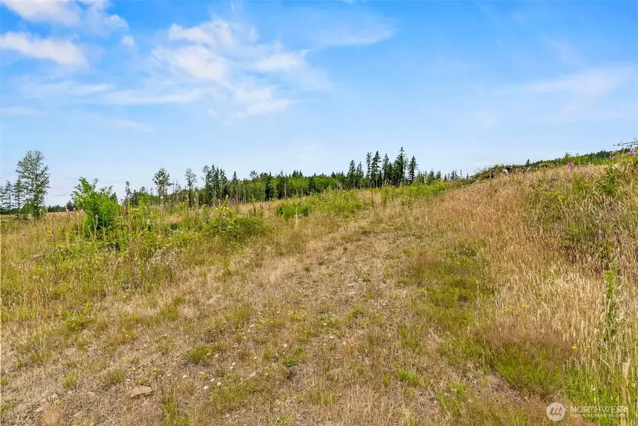 3 Parker Road #Lot C, Toutle, WA 98649 - #3