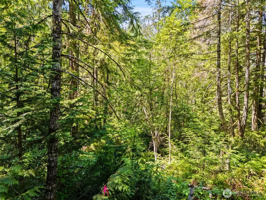 0 E Glenwood Drive #C of SP 1356, Union, WA 98592 - #2