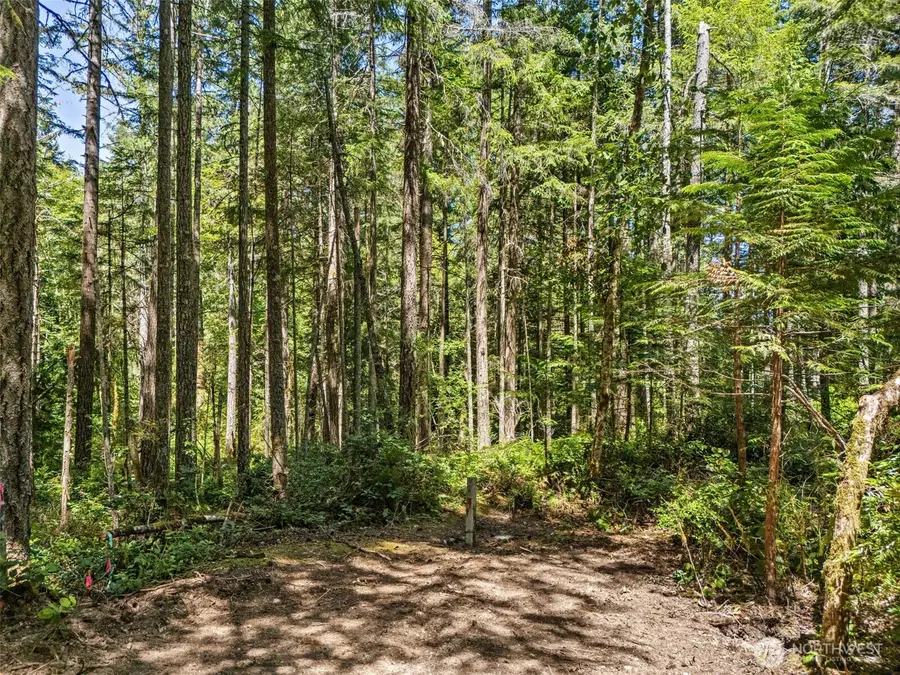 0 E Glenwood Drive #C of SP 1354, Union, WA 98592 - #2