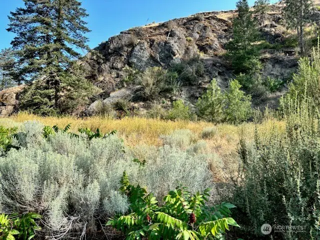 1 Shirley Road N #4, Oroville, WA 98844 - #3