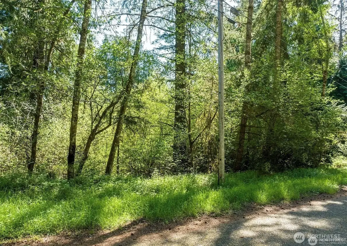 10515 Edgewood Drive, Anderson Island, WA 98303 - #1