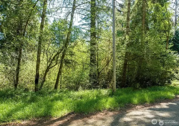 10515 Edgewood Drive, Anderson Island, WA 98303
