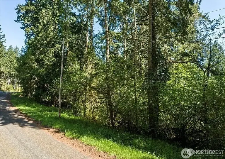 10515 Edgewood Drive, Anderson Island, WA 98303 - #2