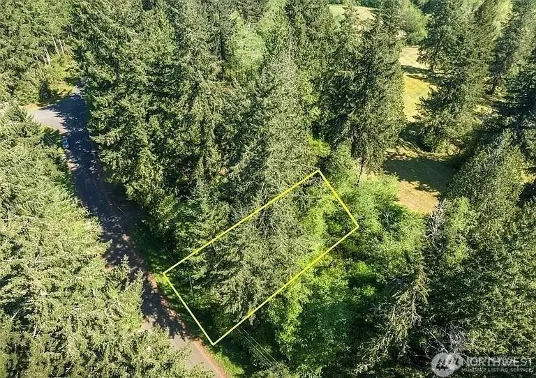10515 Edgewood Drive, Anderson Island, WA 98303 - #3