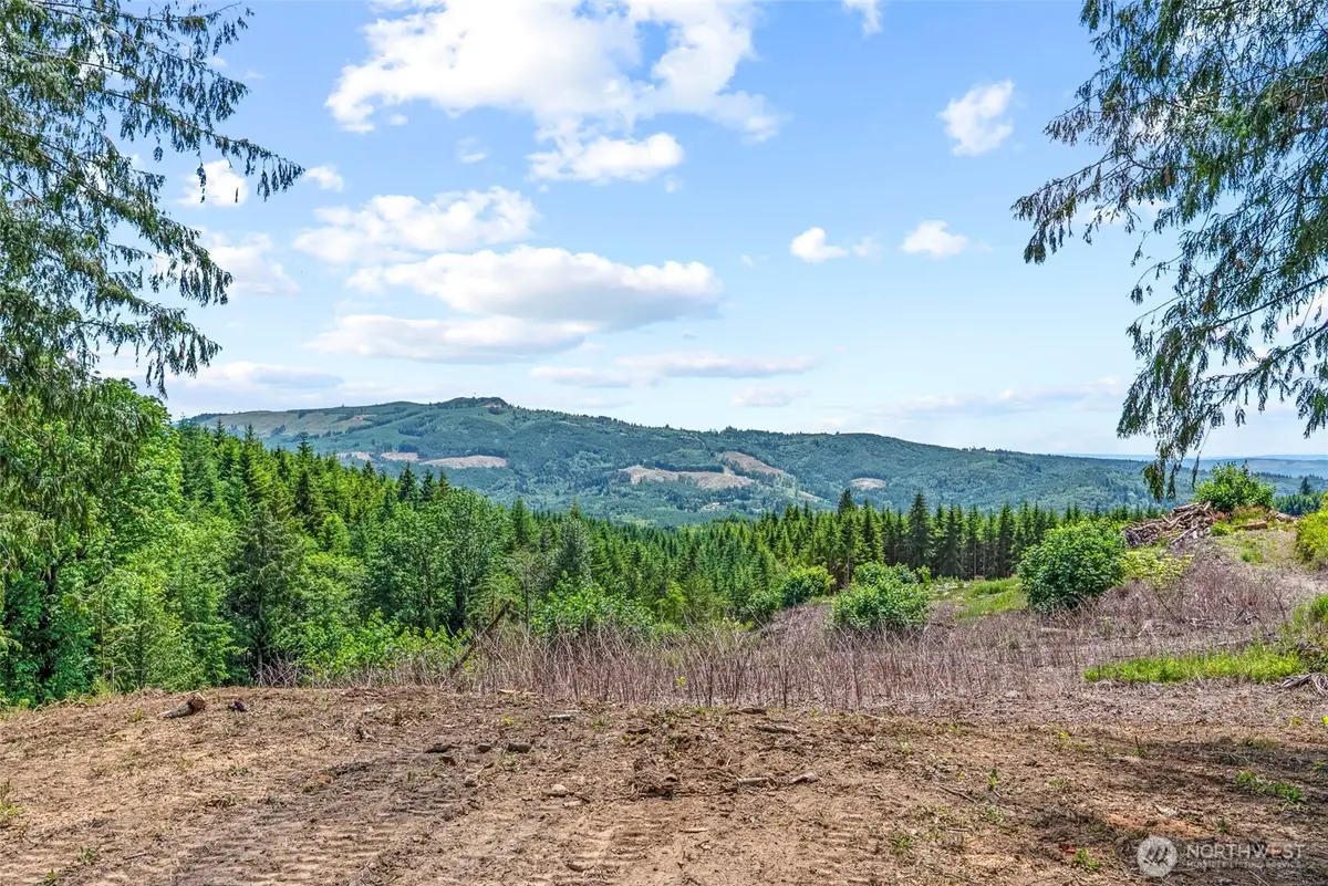 1899 Mt Pleasant Road #2, Kelso, WA 98626 - #1