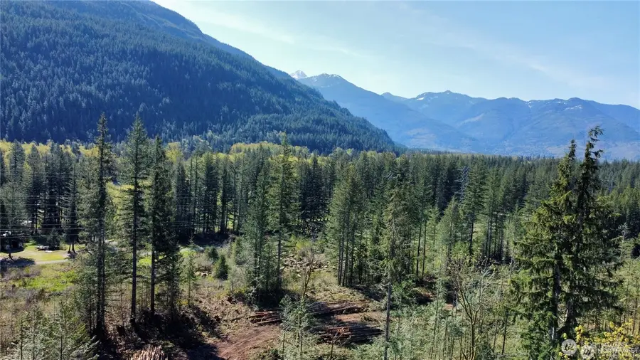61164 Dexter Lane, Marblemount, WA 98267 - #2