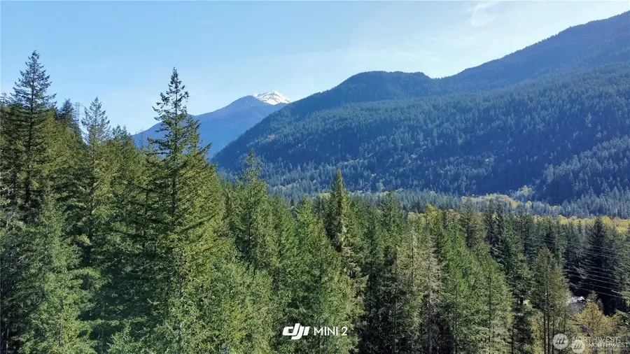 61164 Dexter Lane, Marblemount, WA 98267 - #3